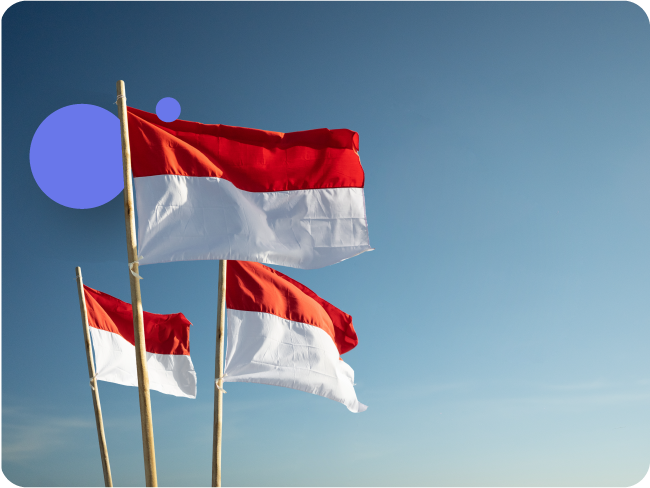 Indonesia reconfirms and clarifies non-VATable goods and services